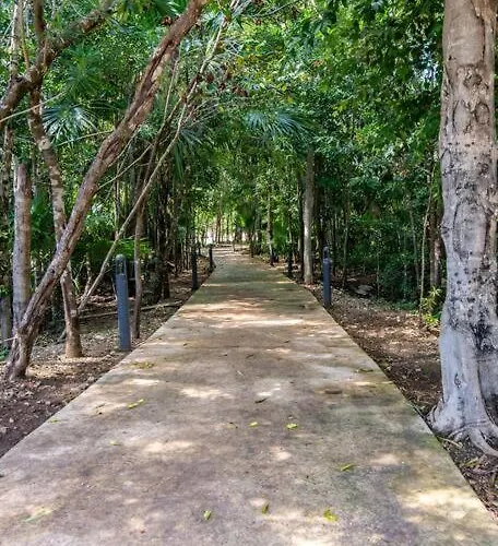 Beautiful 4br, Up To 8 Guests, Private Pool, 10 Min To * Playa del Carmen