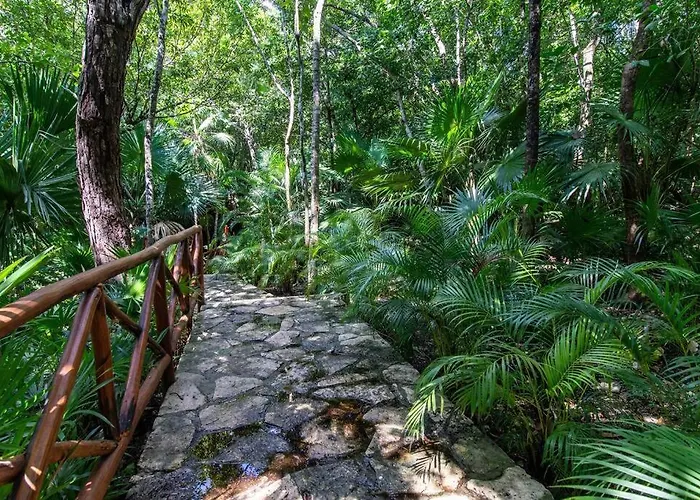 Holiday home Beautiful 4br, Up To 8 Guests, Private Pool, 10 Min To Playa del Carmen