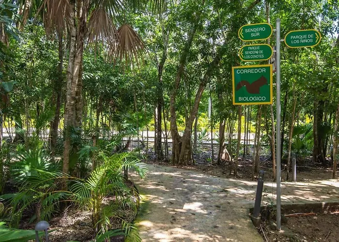 Beautiful 4br, Up To 8 Guests, Private Pool, 10 Min To * Playa del Carmen